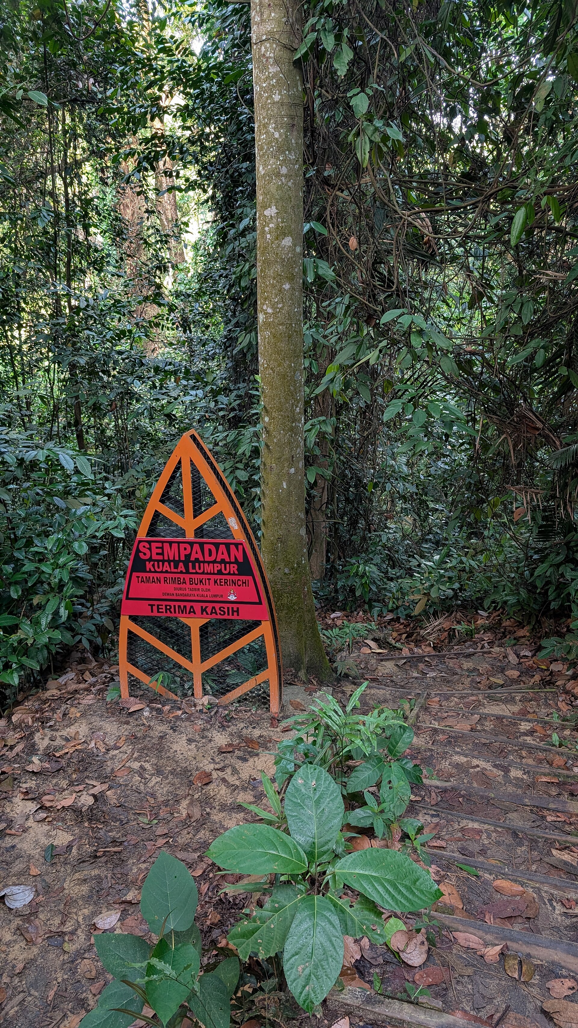 Bukit Gasing, Petaling Jaya, Selangor