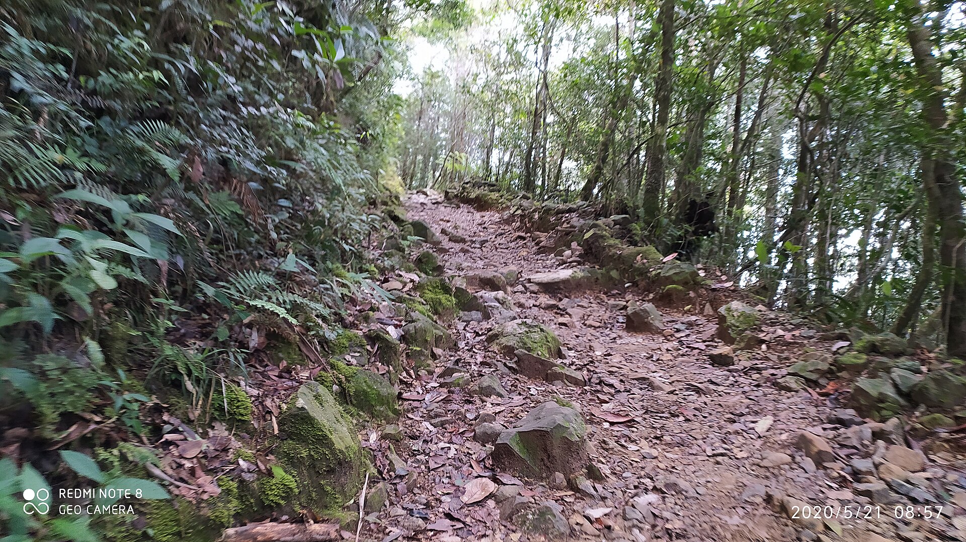 Mount Kinabalu, Kinabalu Park, Sabah
