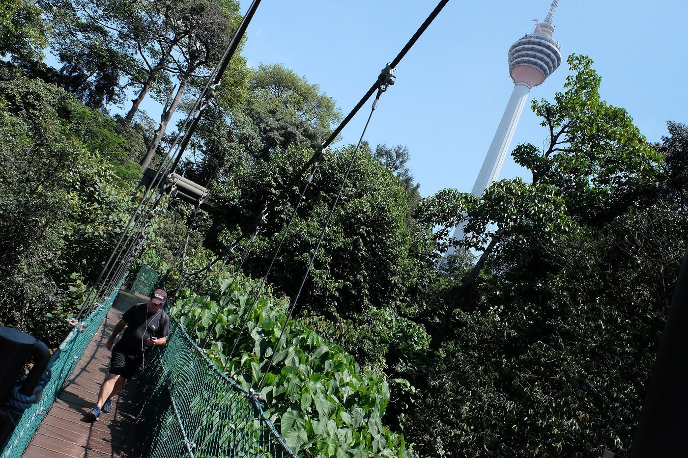 KL Forest Eco Park, Kuala Lumpur