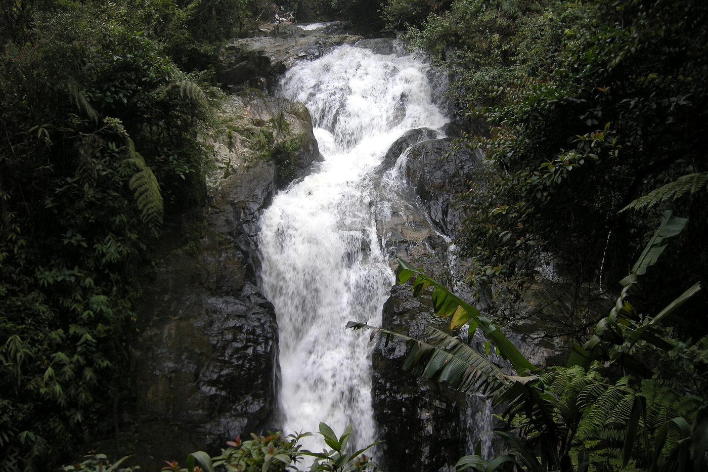 Robinson Waterfall, Cameron Highlands