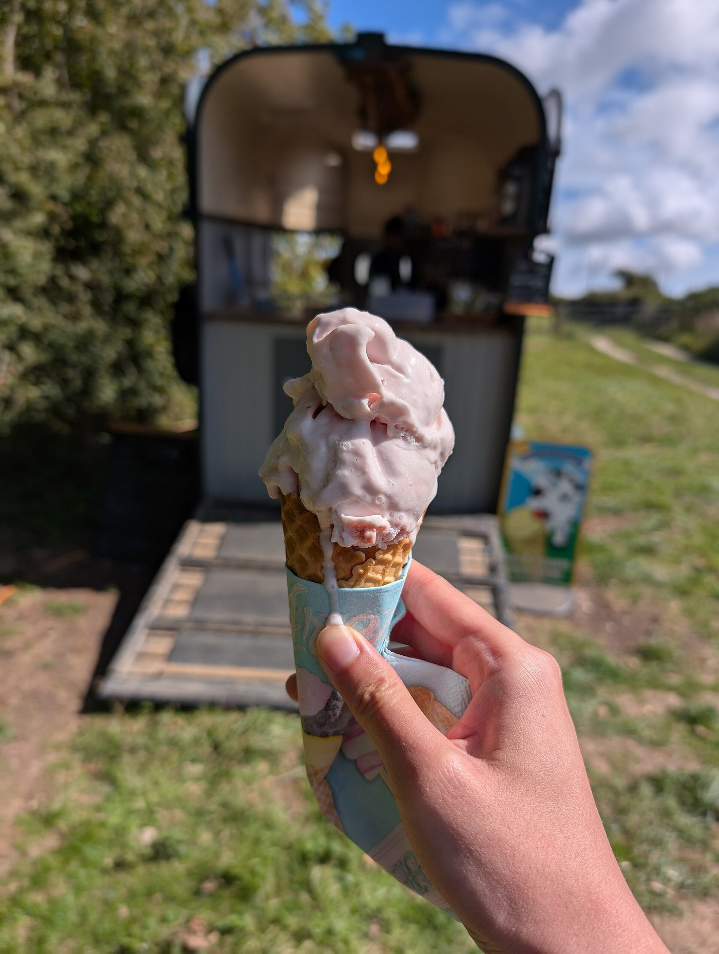 Everything Strawberry — Cameron Highlands food