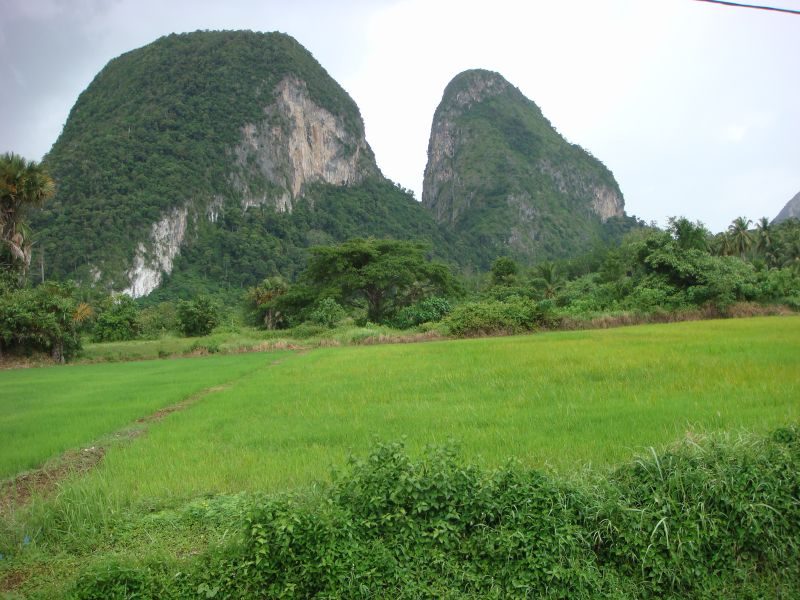 Limestone Hills & Bukit Chabang, Perlis