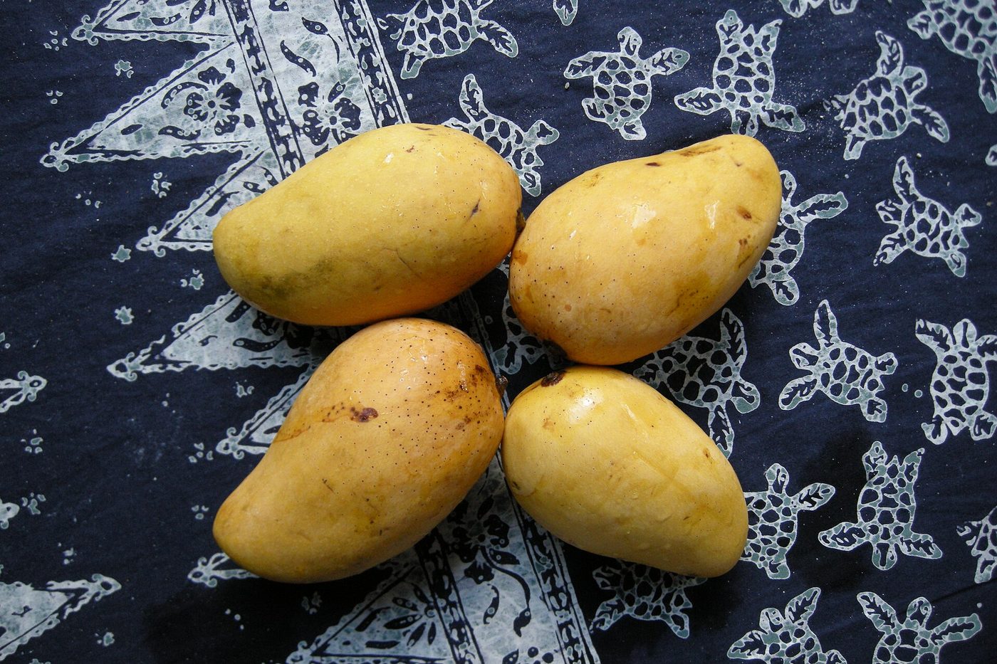 Harumanis Mango — Perlis food