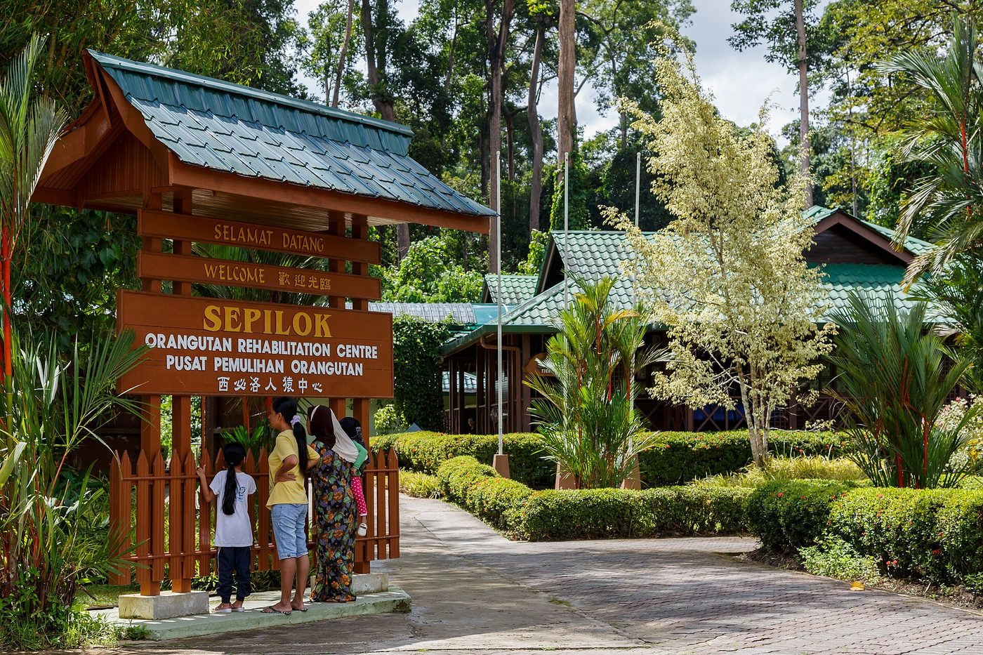 Sepilok Orangutan Centre, Kota Kinabalu