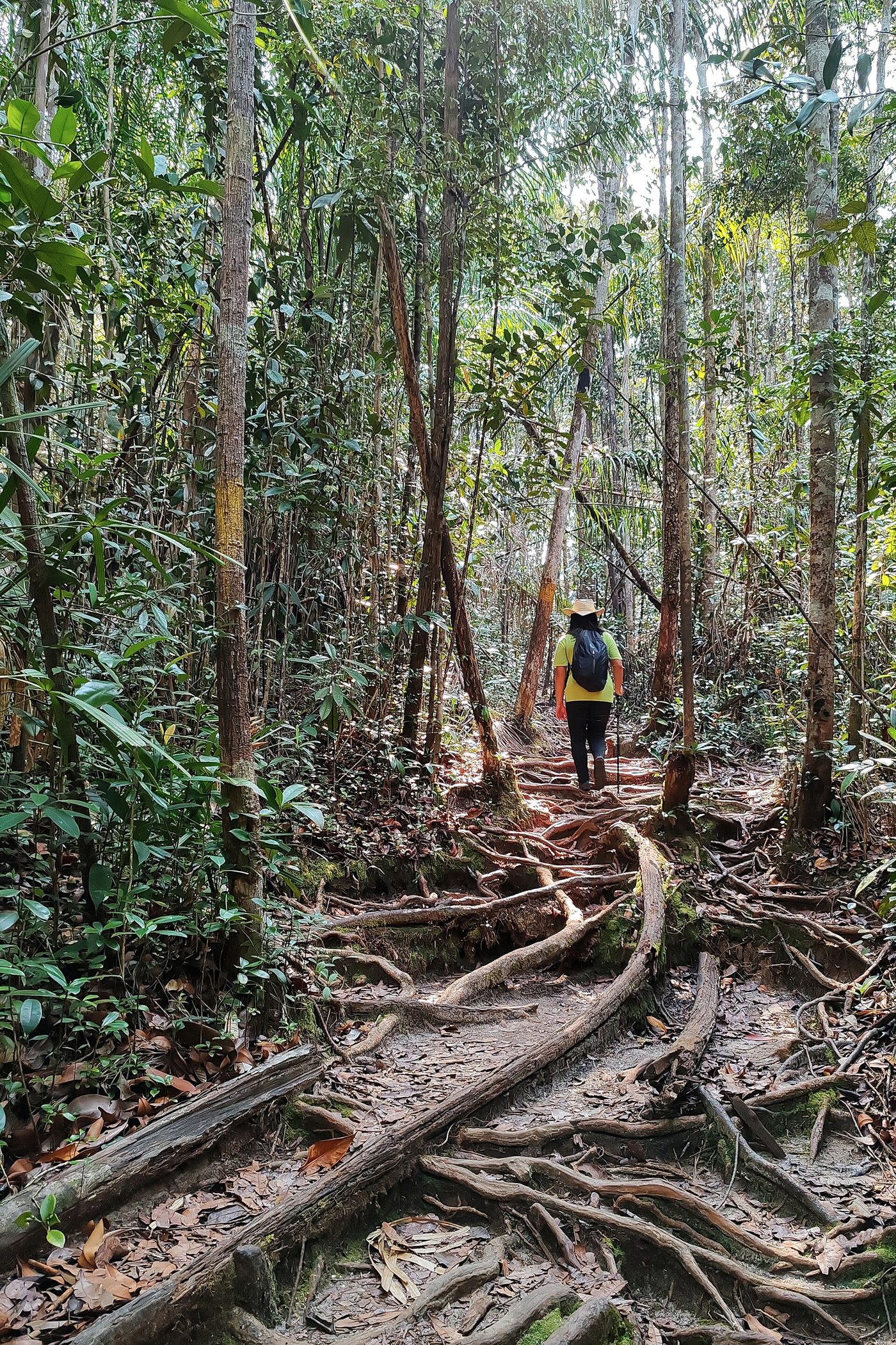 Bako National Park, Kuching