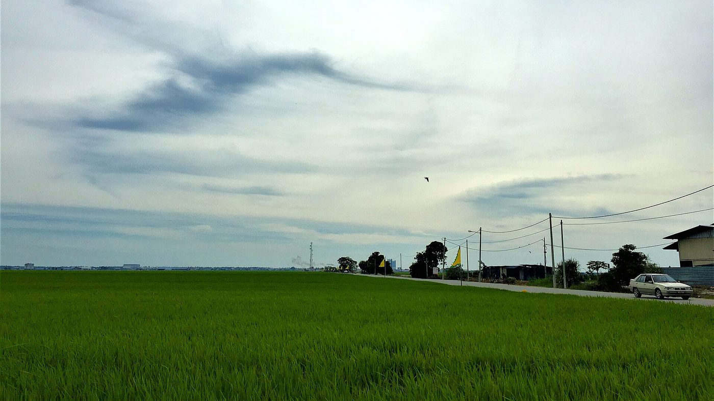 Sekinchan Paddy Fields, Selangor