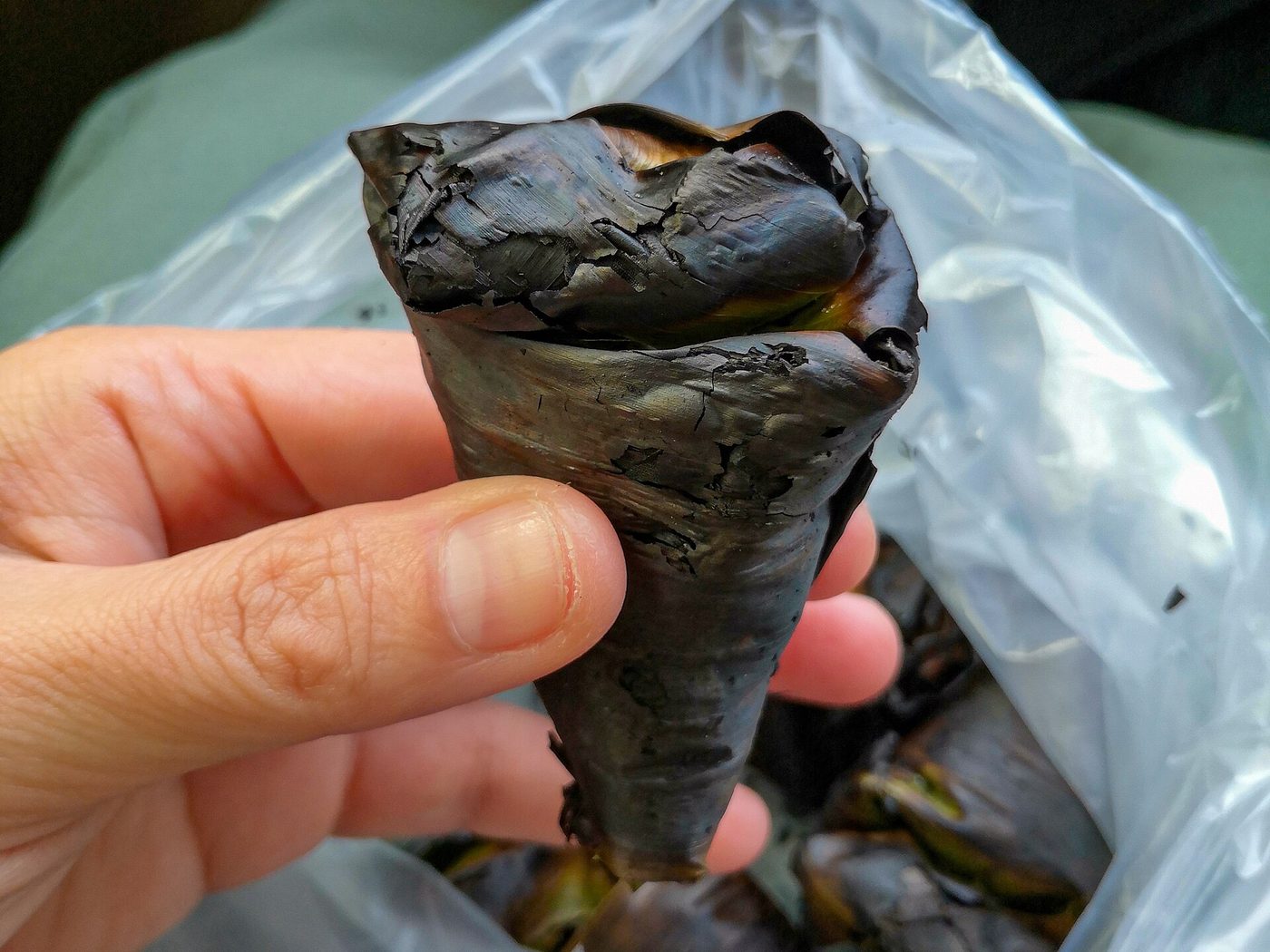 Satar — Kuala Terengganu food